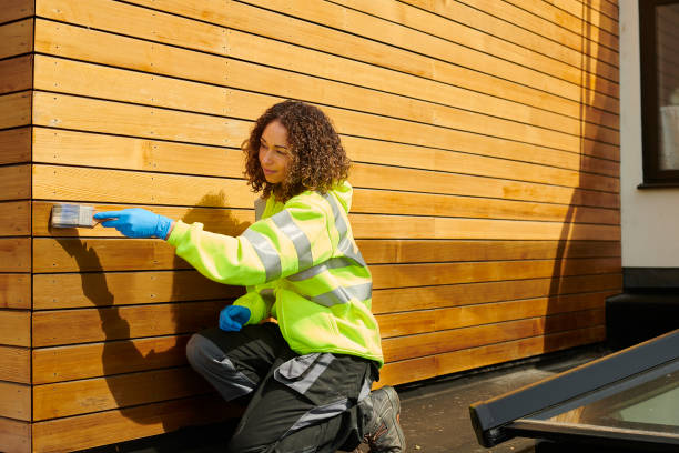 Best Insulated Siding Installation  in Hudson, CO